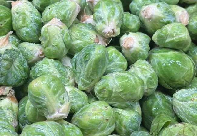 How to Grow Delicious Brussels Sprouts in Your Garden