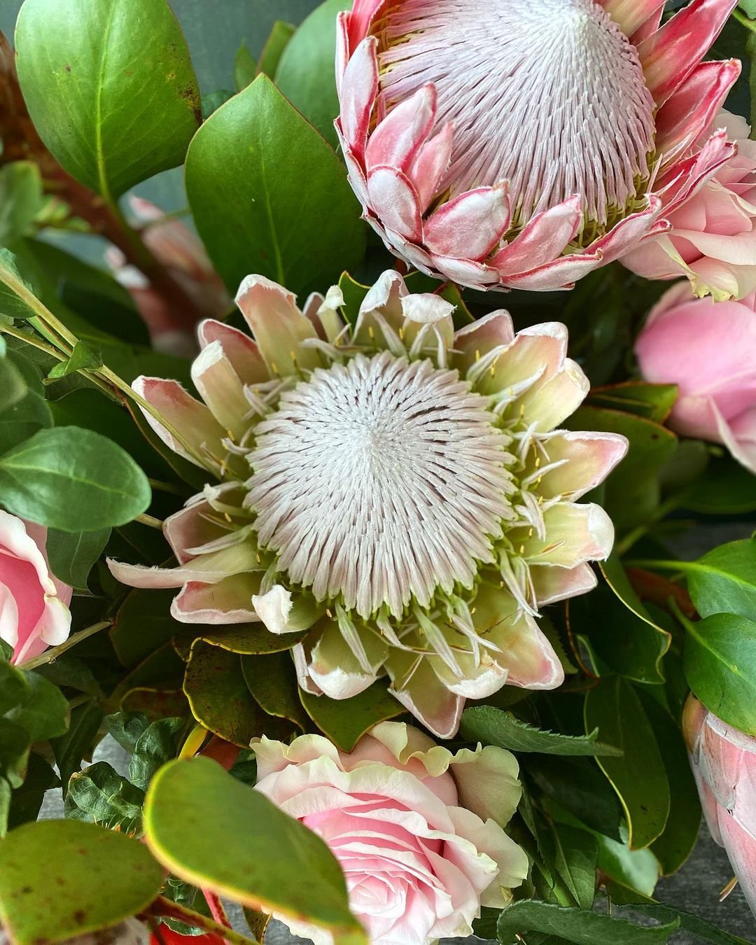 A beautiful bouquet featuring proteas and various other flowers.