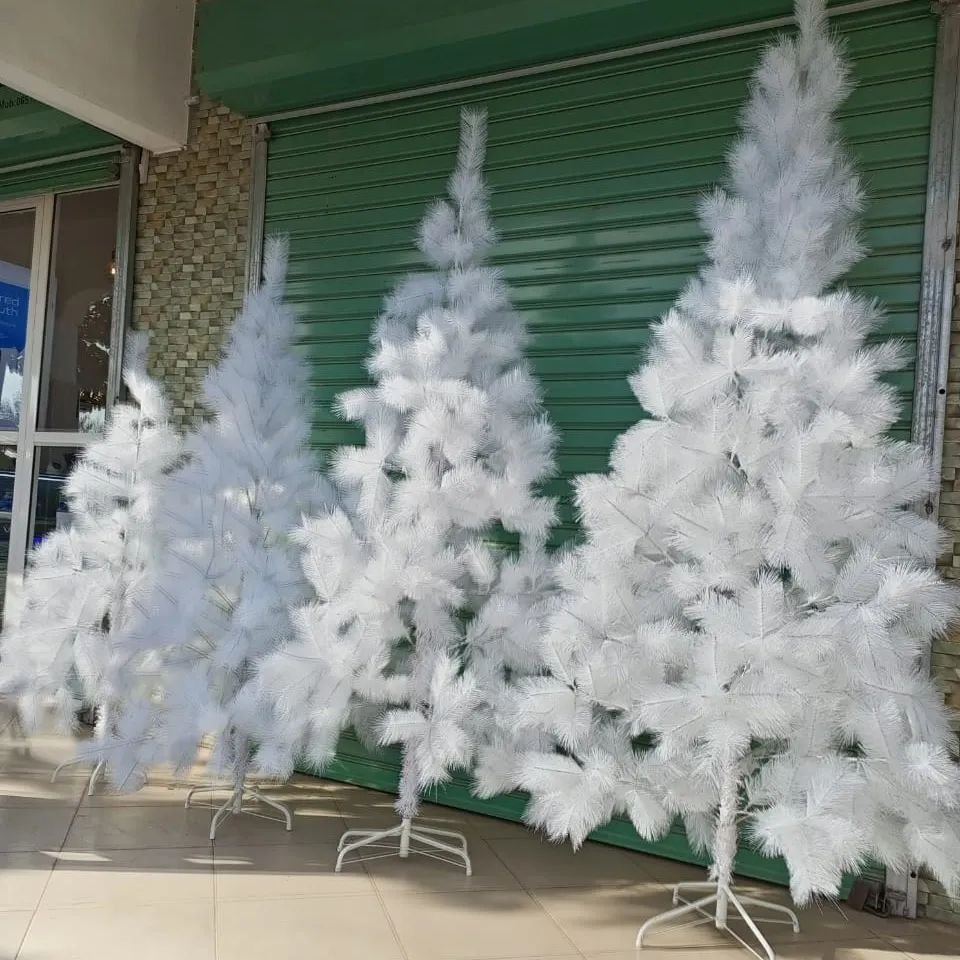 White Pine Christmas trees for sale in the city.