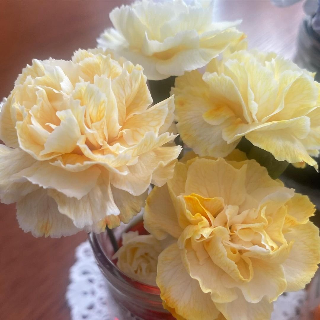  Bright yellow carnations displayed in glass jar on delicate doily.