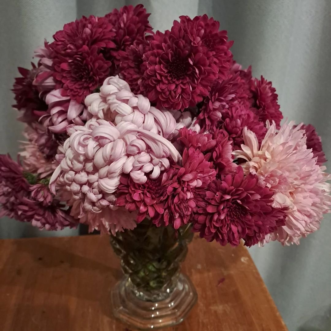 A vase filled with chrysanthemums.