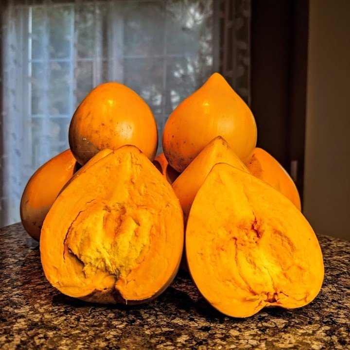 Colorful squash assortment on a counter.