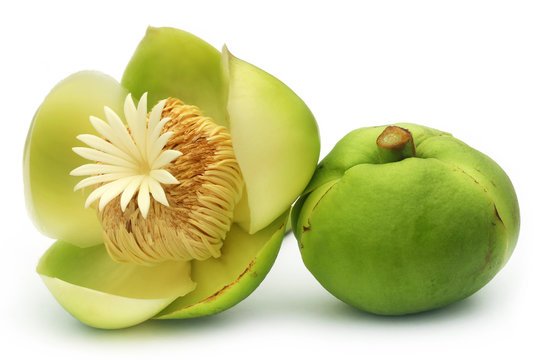 Green Elephant Apple fruit with a flower on top