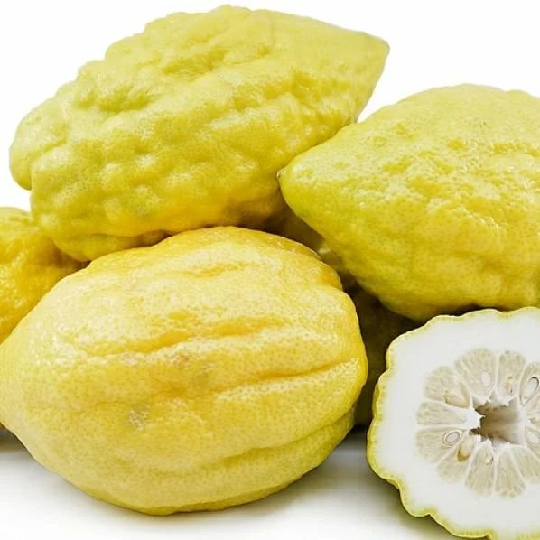 A group of yellow lemons, one sliced, with an Etrog fruit.