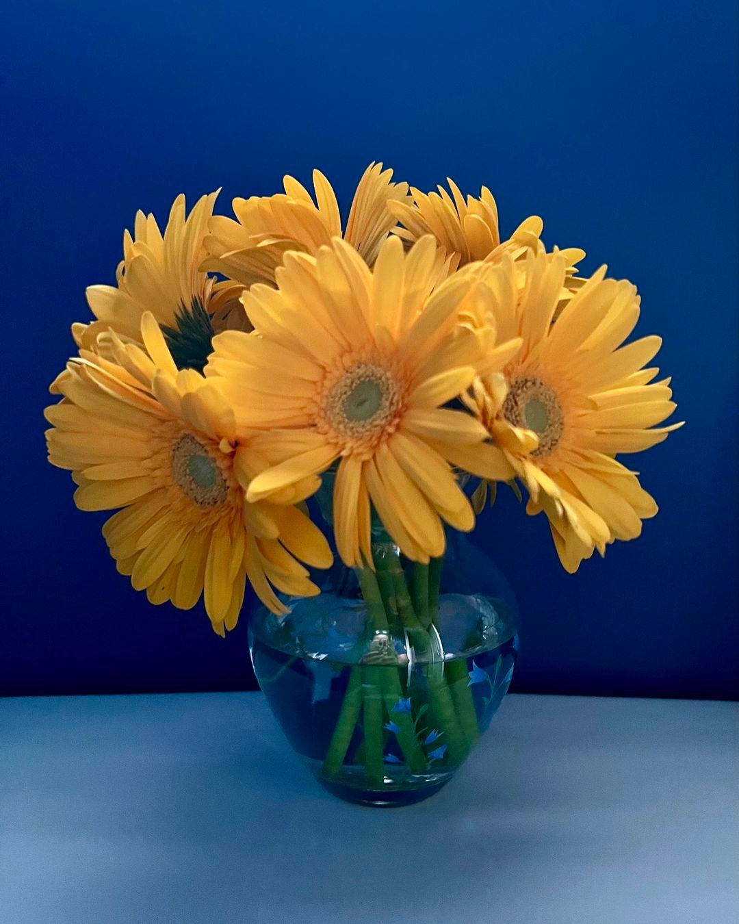 A vase with yellow Gerbera Daisies