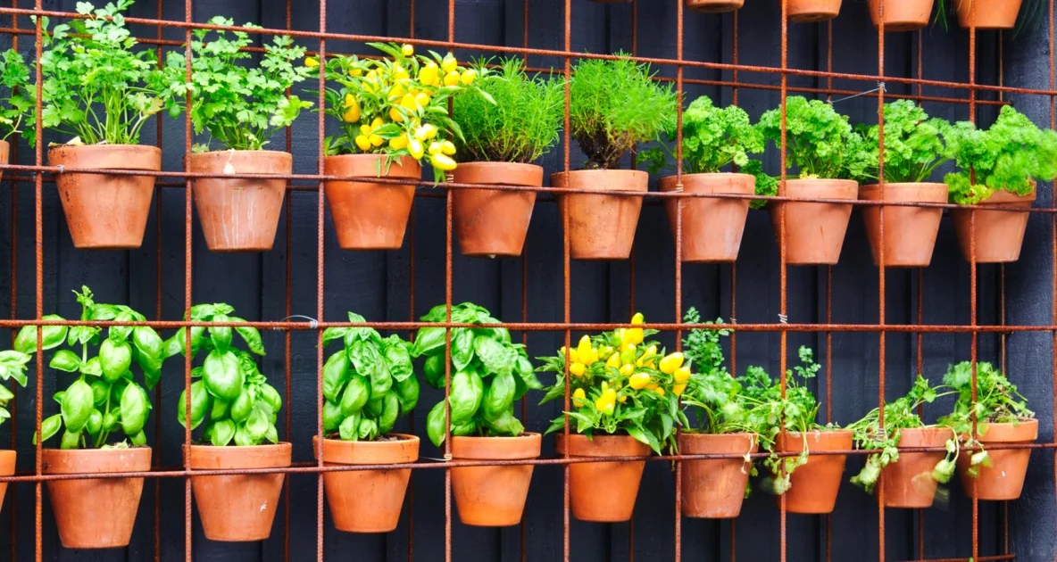  A blue pot filled with a variety of plants, such as succulents and herbs, with the message "Plan Your Space grow plant".