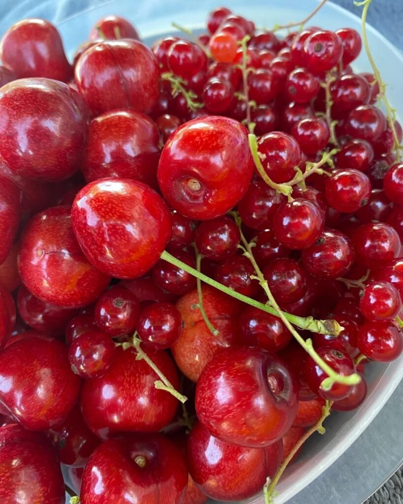 A mix of red cherries and red currants in a bowl.