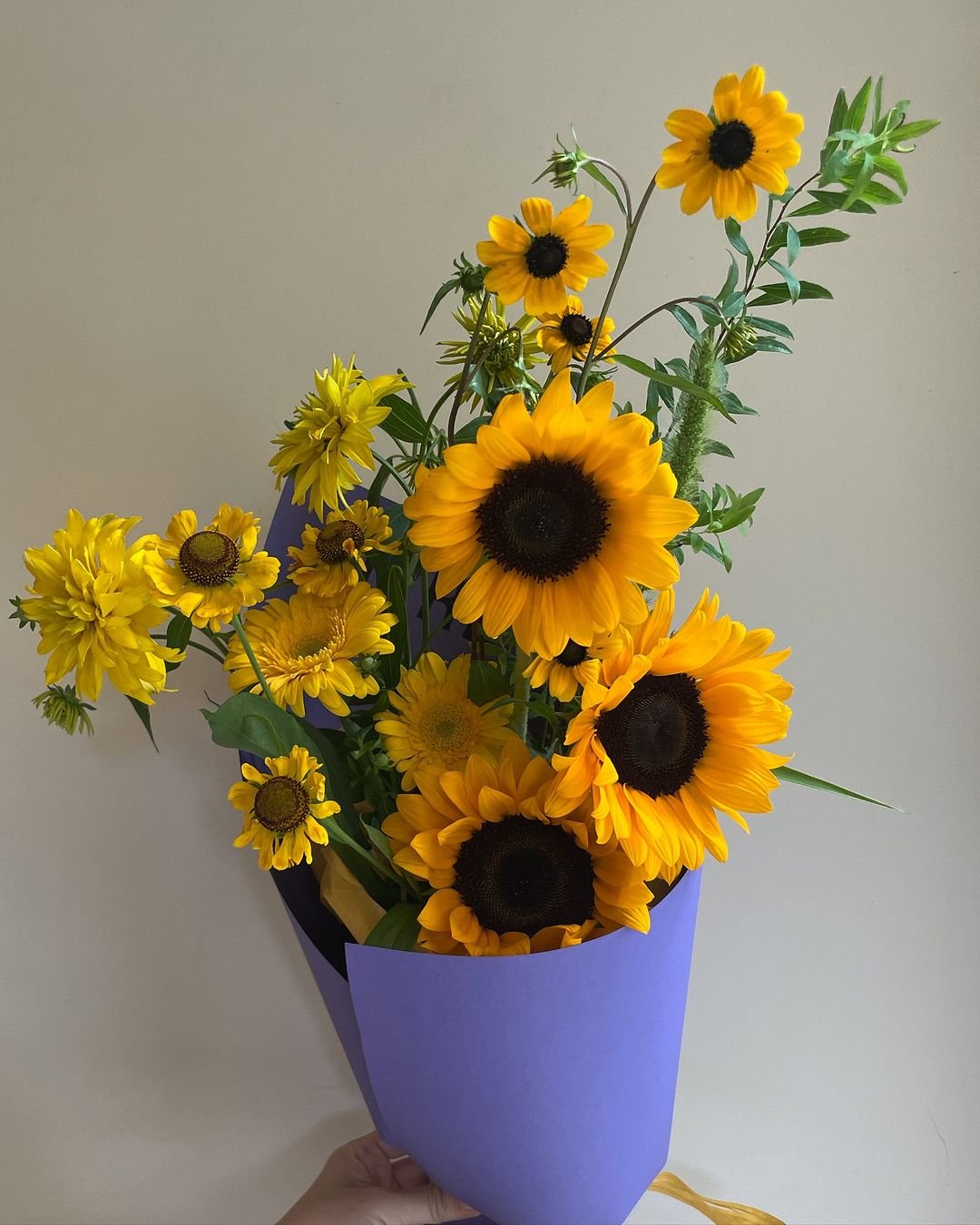 Sunflowers in a purple paper bag, vibrant and cheerful bouquet of sunflowers in a purple paper bag