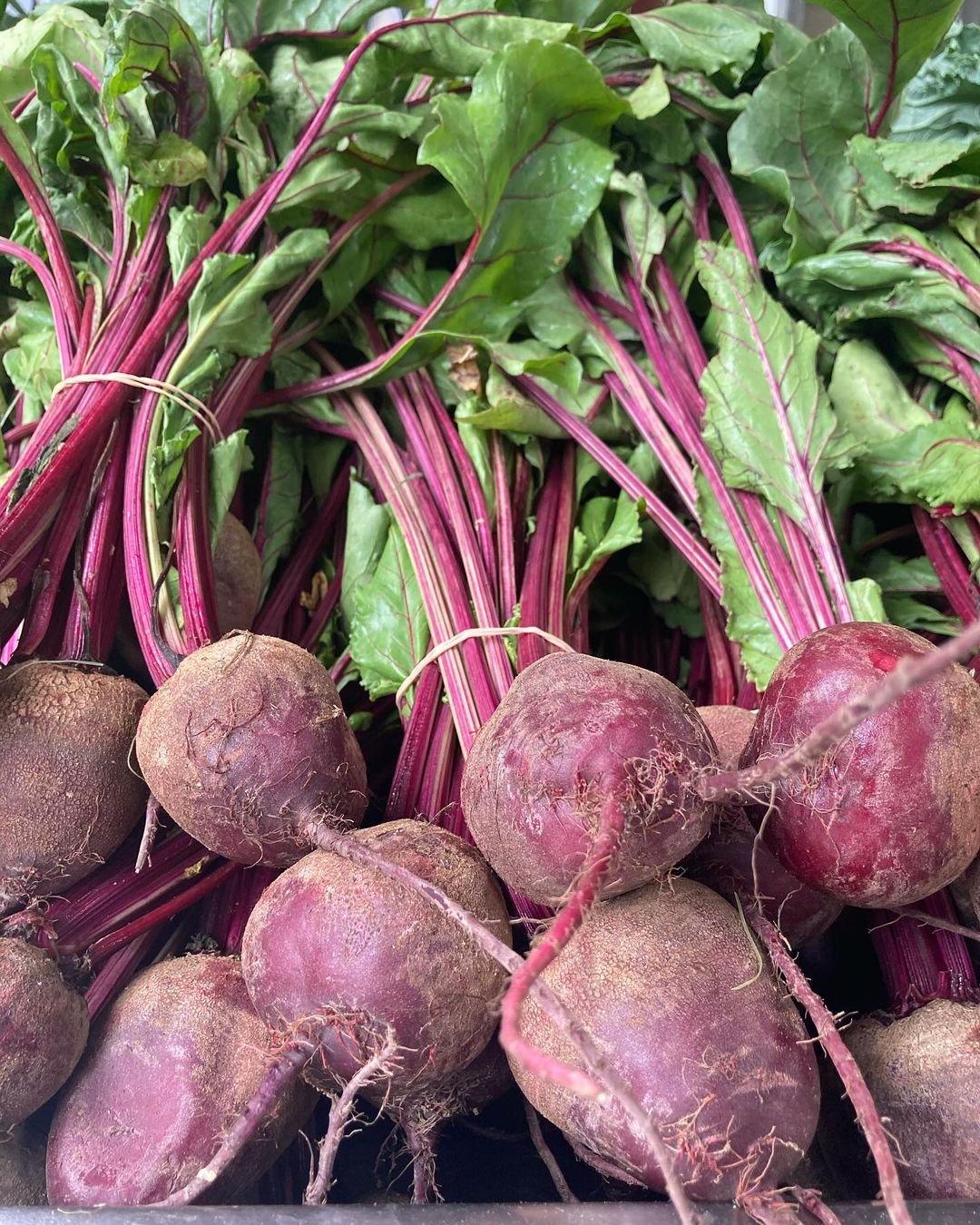 Fresh beets with green leaves stacked in a box.