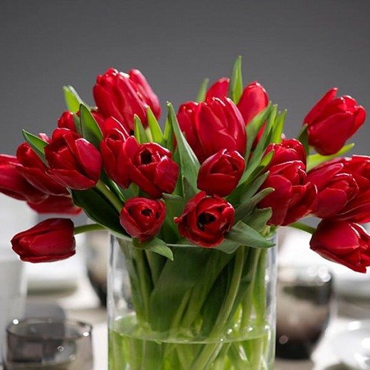 A beautifully arranged vase of red tulips on a table, representing the joy of Easter and the beauty of springtime.