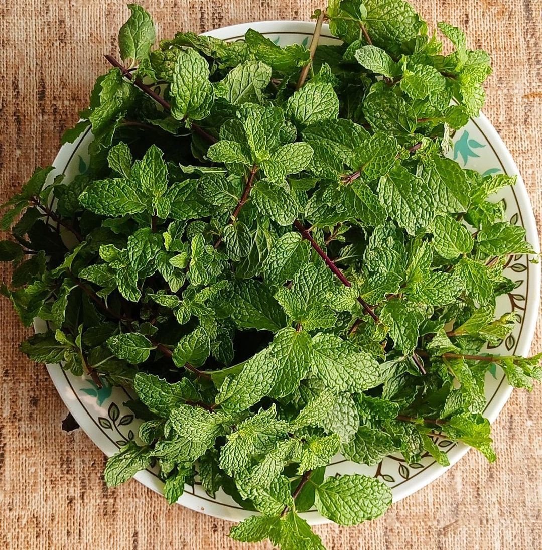 Bowl filled with fresh mint leaves on a table.