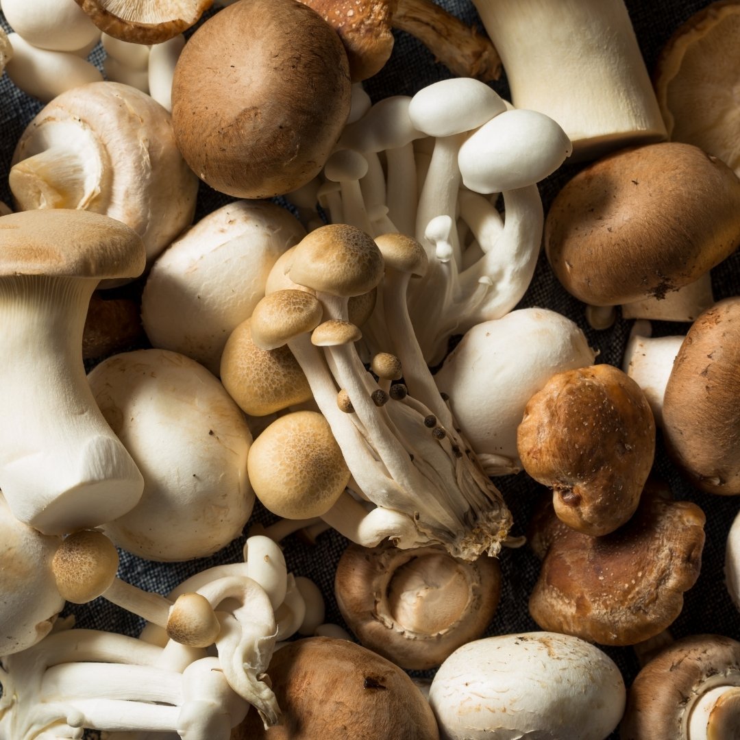 A variety of fresh mushrooms arranged in a pile on a wooden table.