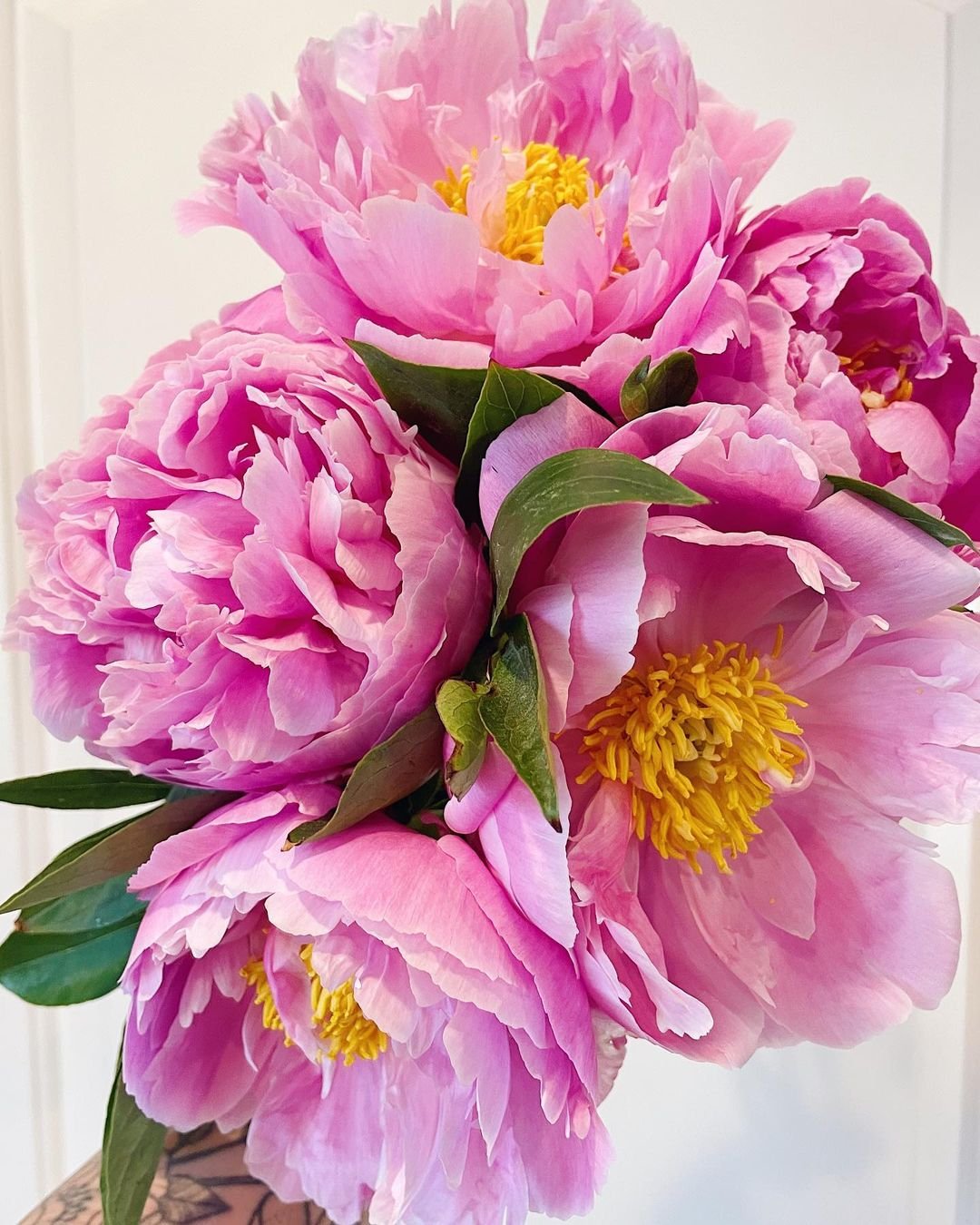 A person gently holds a vibrant bouquet of pink peonies, showcasing their lush petals and delicate beauty.
