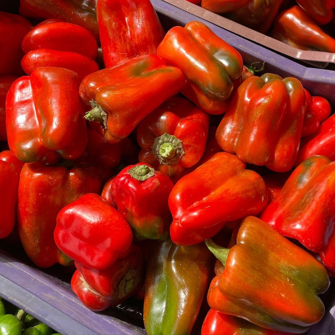  A variety of colorful peppers neatly arranged in a box.