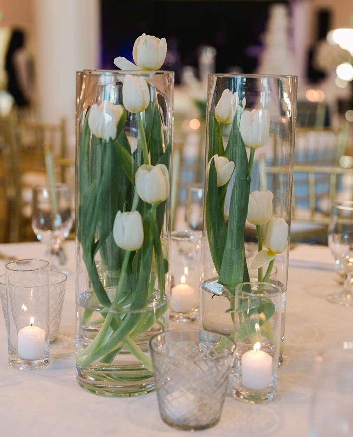  Elegant white tulips arranged in clear vases, serving as beautiful centerpieces on a polished table.