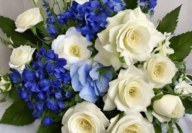 White and Blue Flowers : A Guide to Elegant Garden Combinations