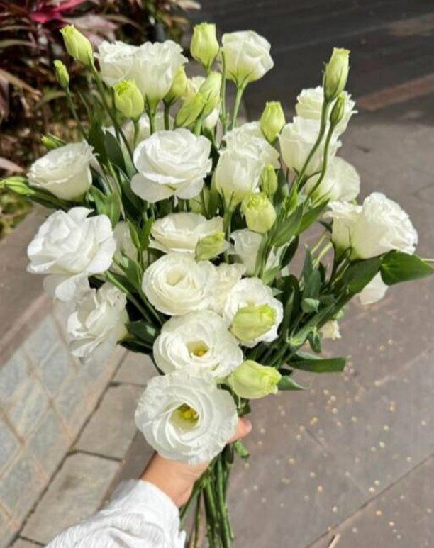 A hand gently holds a bouquet of elegant white roses, showcasing their delicate petals and lush greenery.