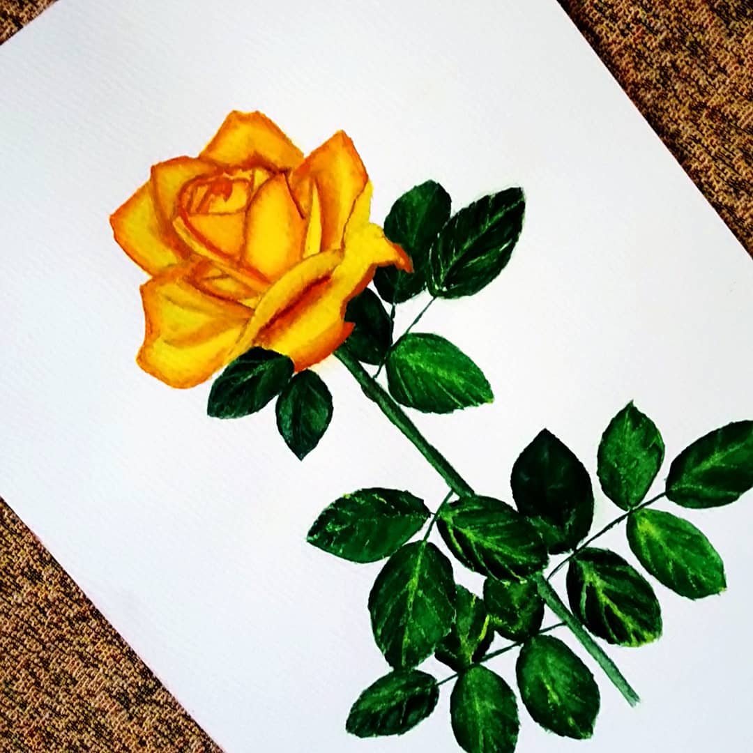  A vibrant yellow rose rests on white paper, accompanied by lush green leaves, showcasing the beauty of floral art.