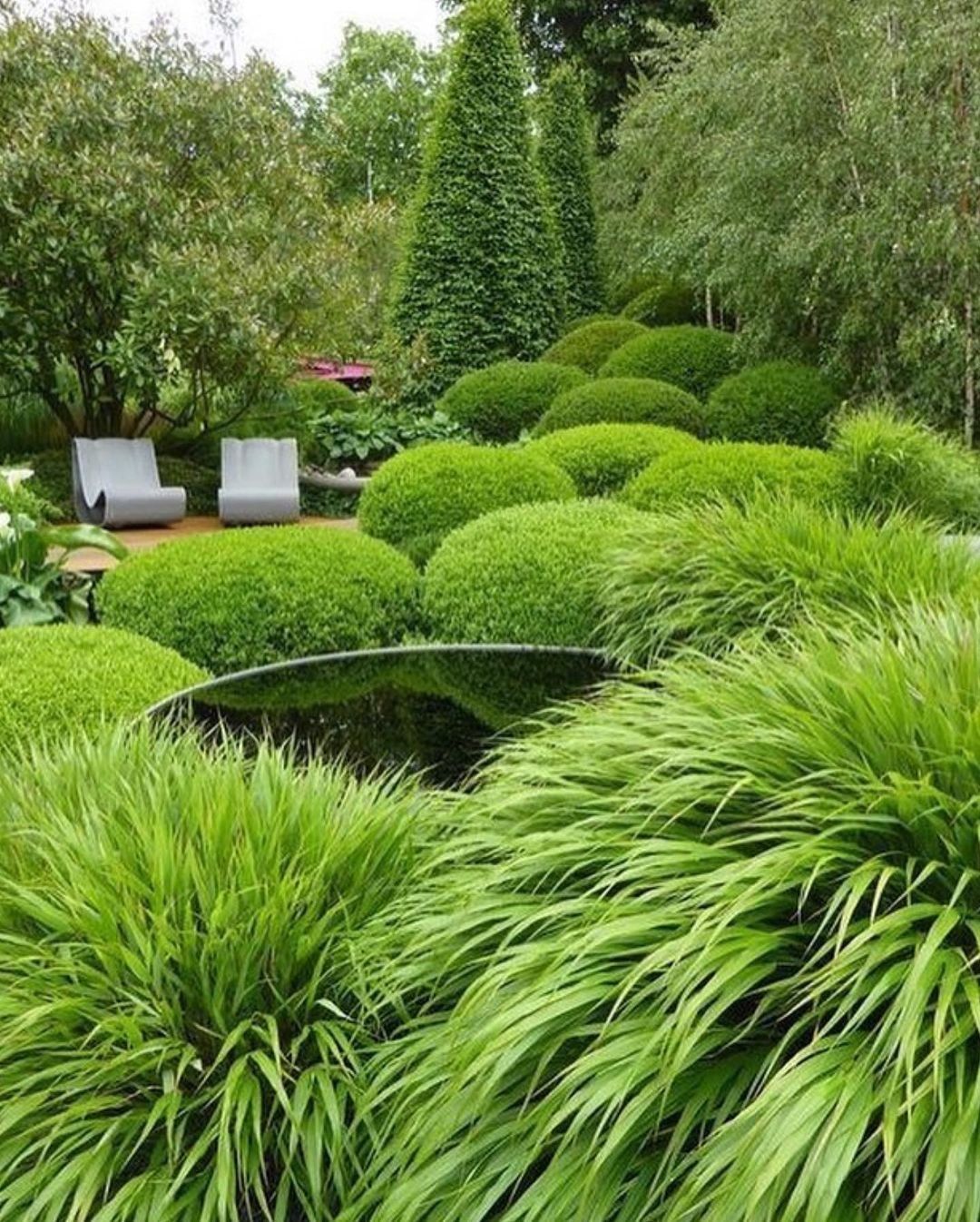 A serene garden featuring lush green bushes surrounding a circular pond, complemented by Japanese Forest Grass and shade-tolerant plants.